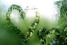 美职足排行榜是如何反映联赛竞争格局的？